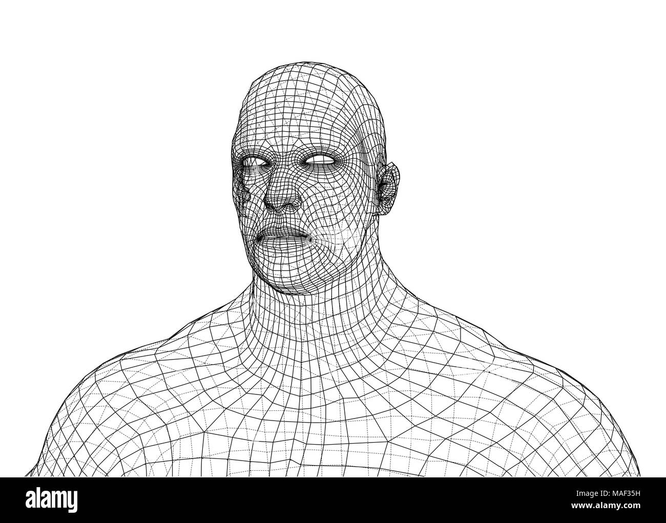 3d wire frame body Stock Vector Images Alamy