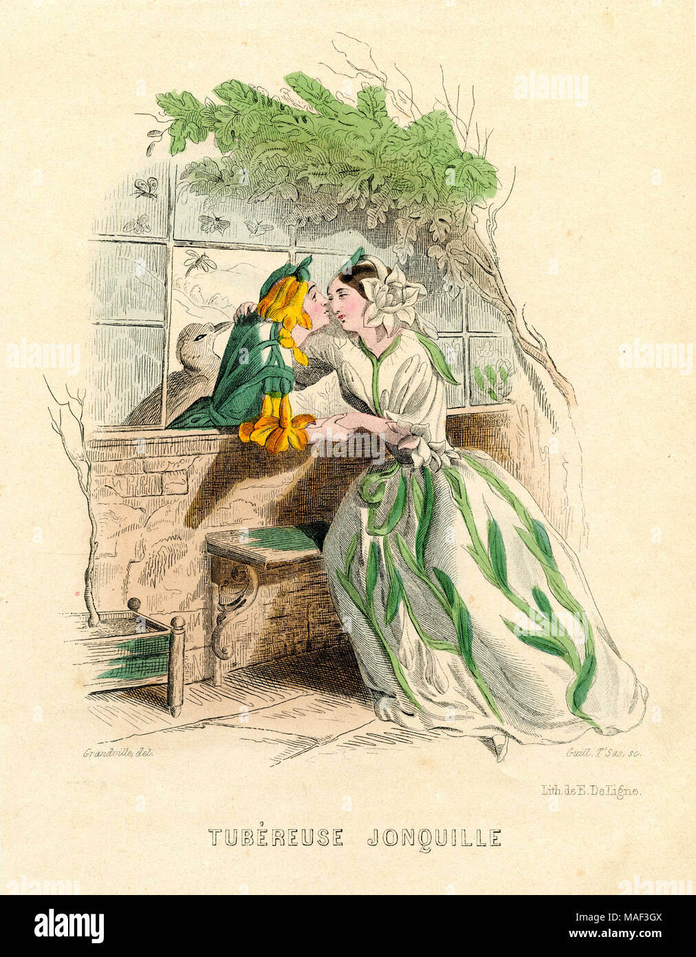 Tuberose and Jonquille, from Grandville: Les Fleurs Animées, Grandeville, created , published Stock Photo