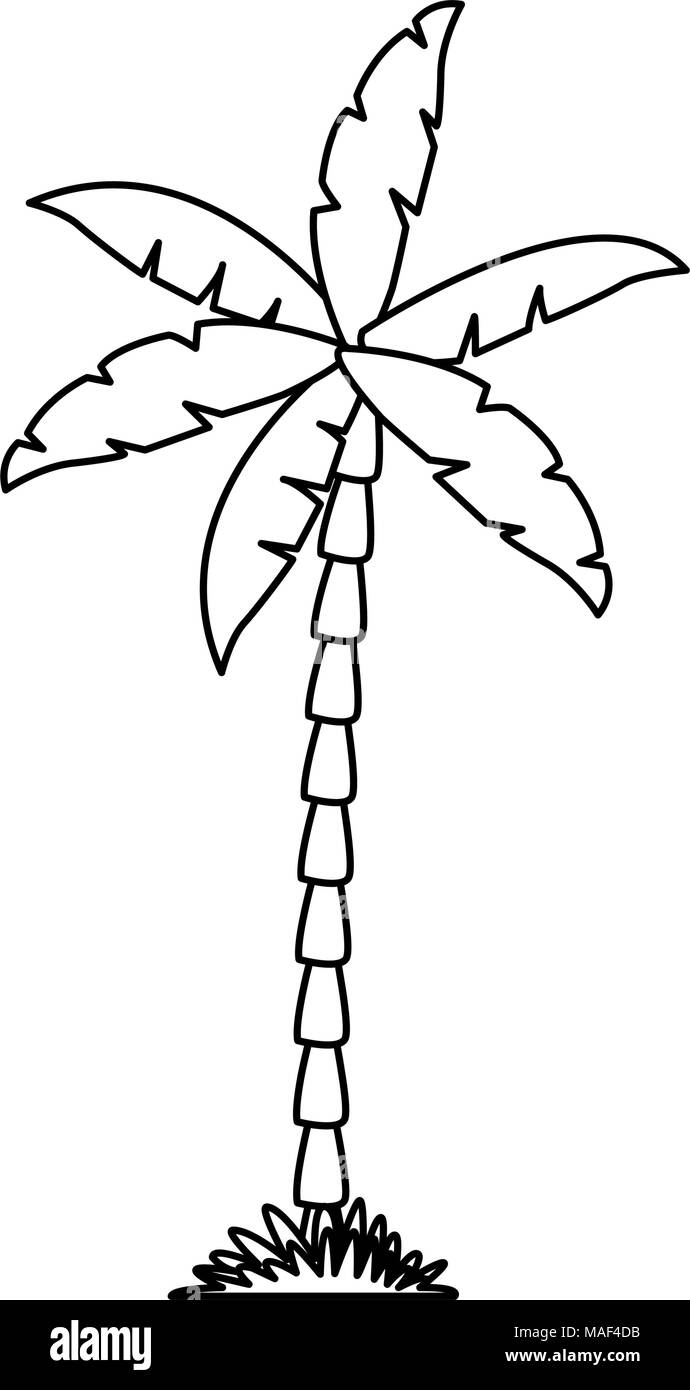 Palm tree isolated Stock Vector Image & Art - Alamy