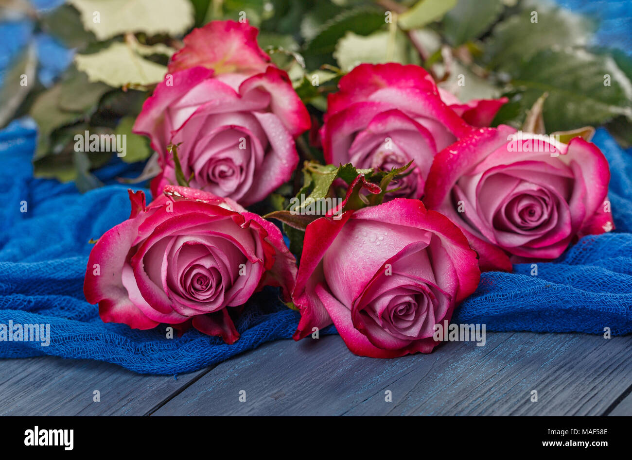 Bouquet of red roses on a blue wooden background Stock Photo - Alamy