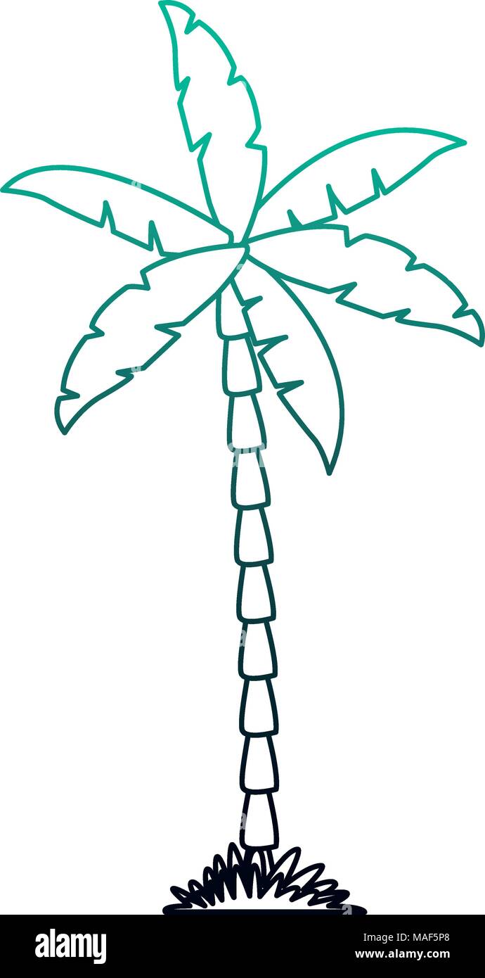Palm tree isolated Stock Vector Image & Art - Alamy