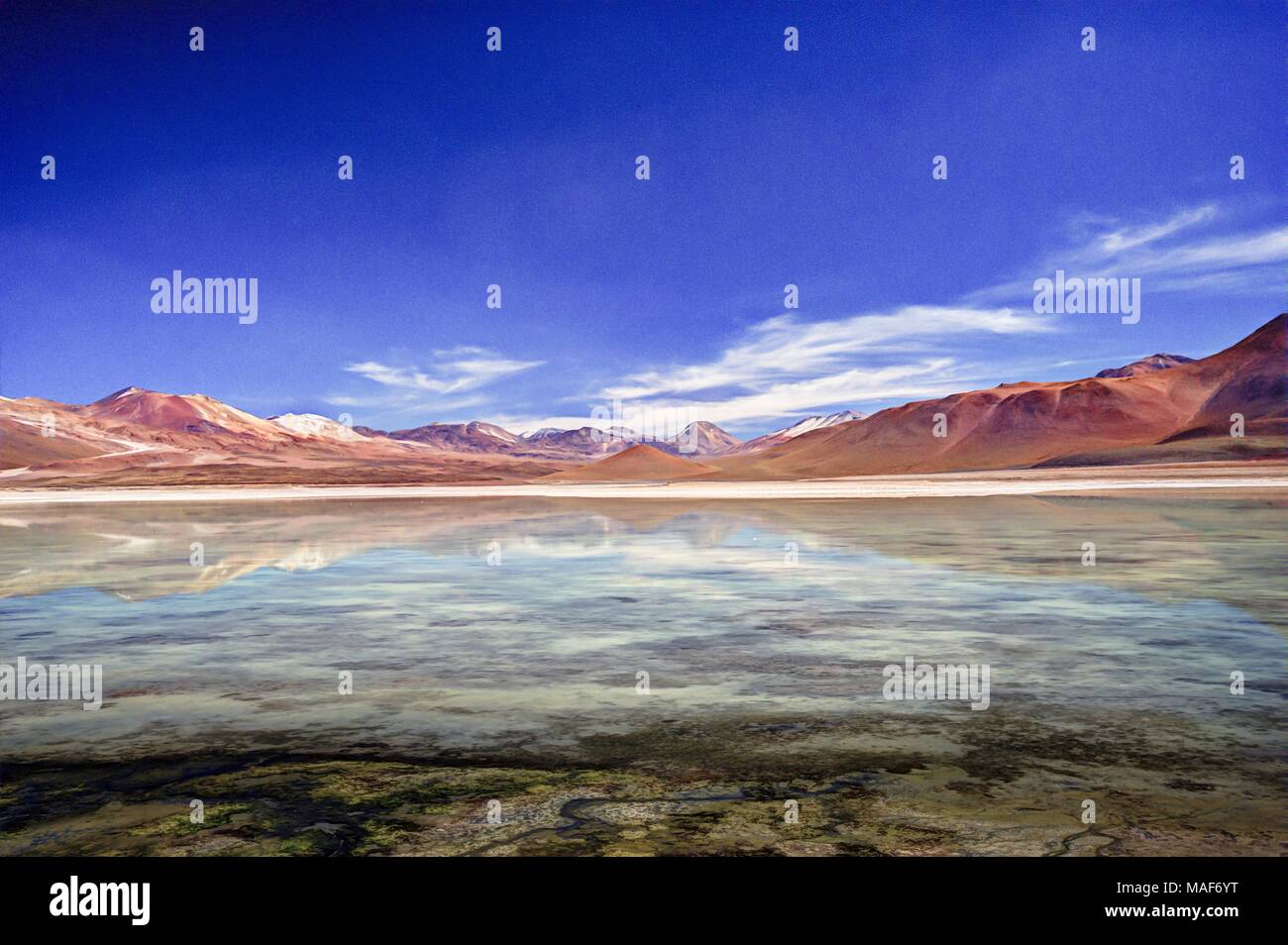Altiplano lagoon Lagoona Blanca in Bolivia Stock Photo