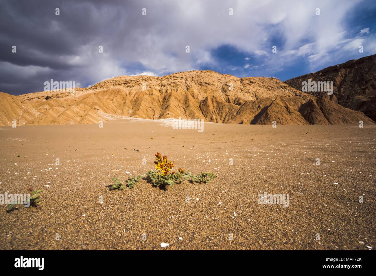 Valle de la muerte, death valley, in Chile, Atacama Stock Photo