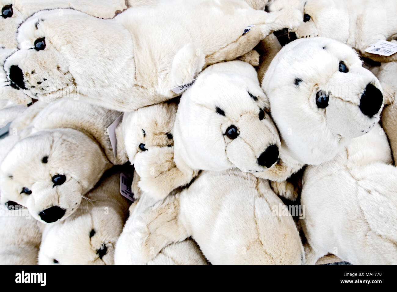 Kuschelige Spielzeug-Seehunde; Seals as soft toys Stock Photo