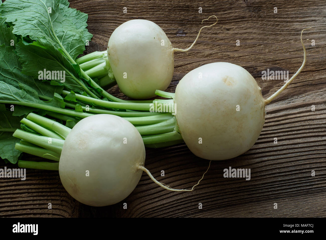Daikon radish.Tasty fresh crude white round japanese radish with green ...