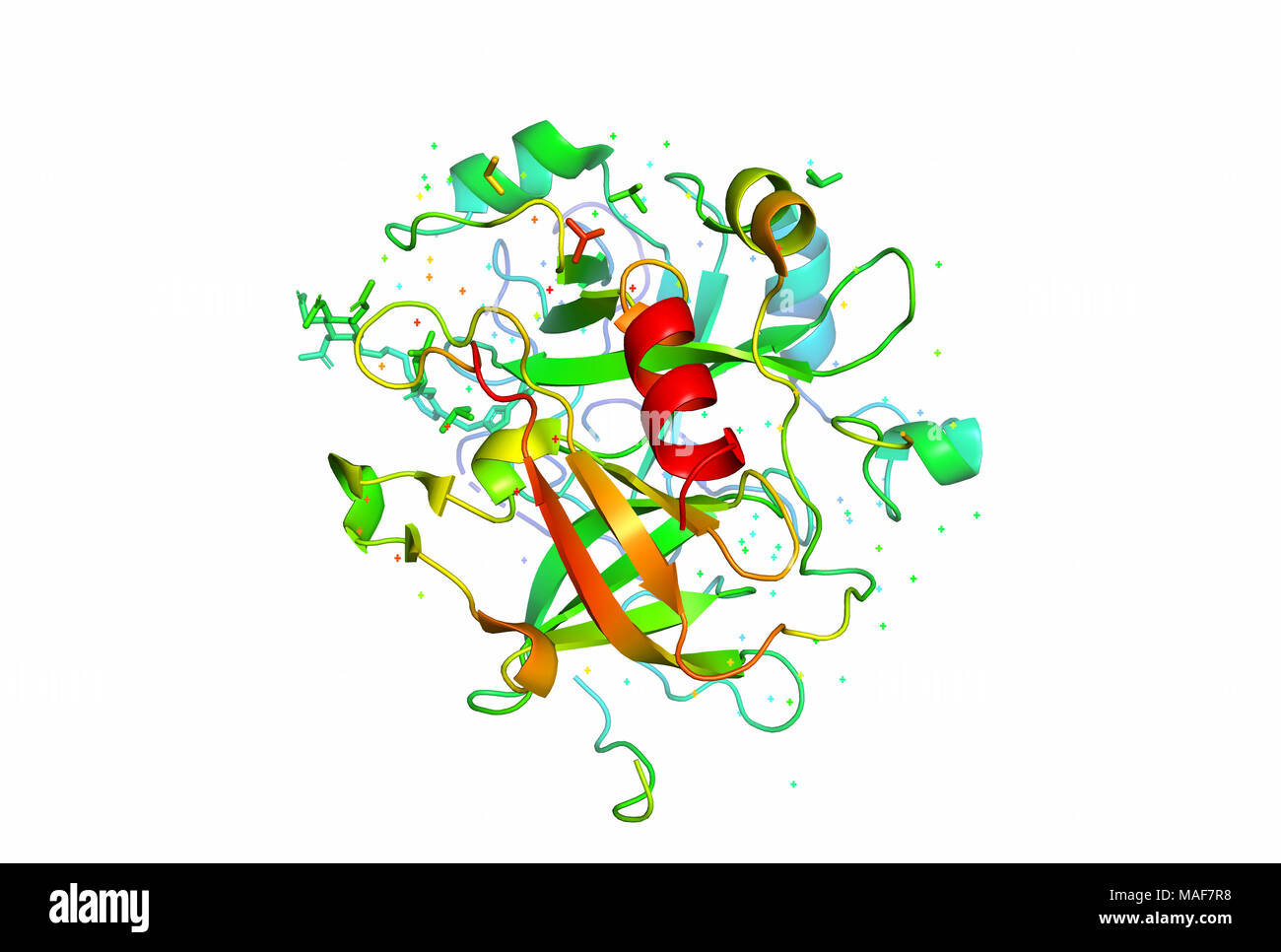 3D model of a protein molecule. The spatial oriented structure of the
