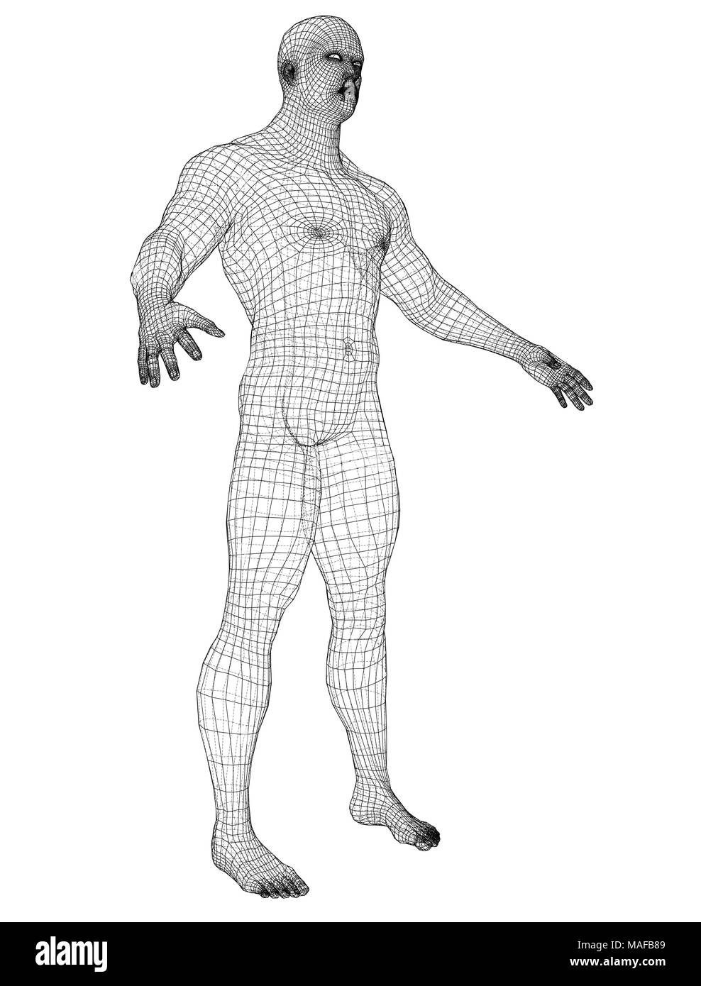 3d wire frame body Stock Vector Images Alamy