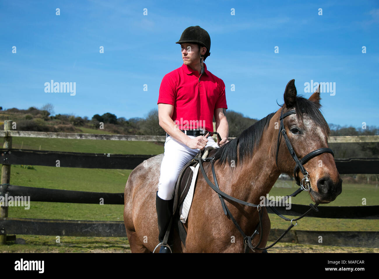 Handsome Male Horse rider on horseback 