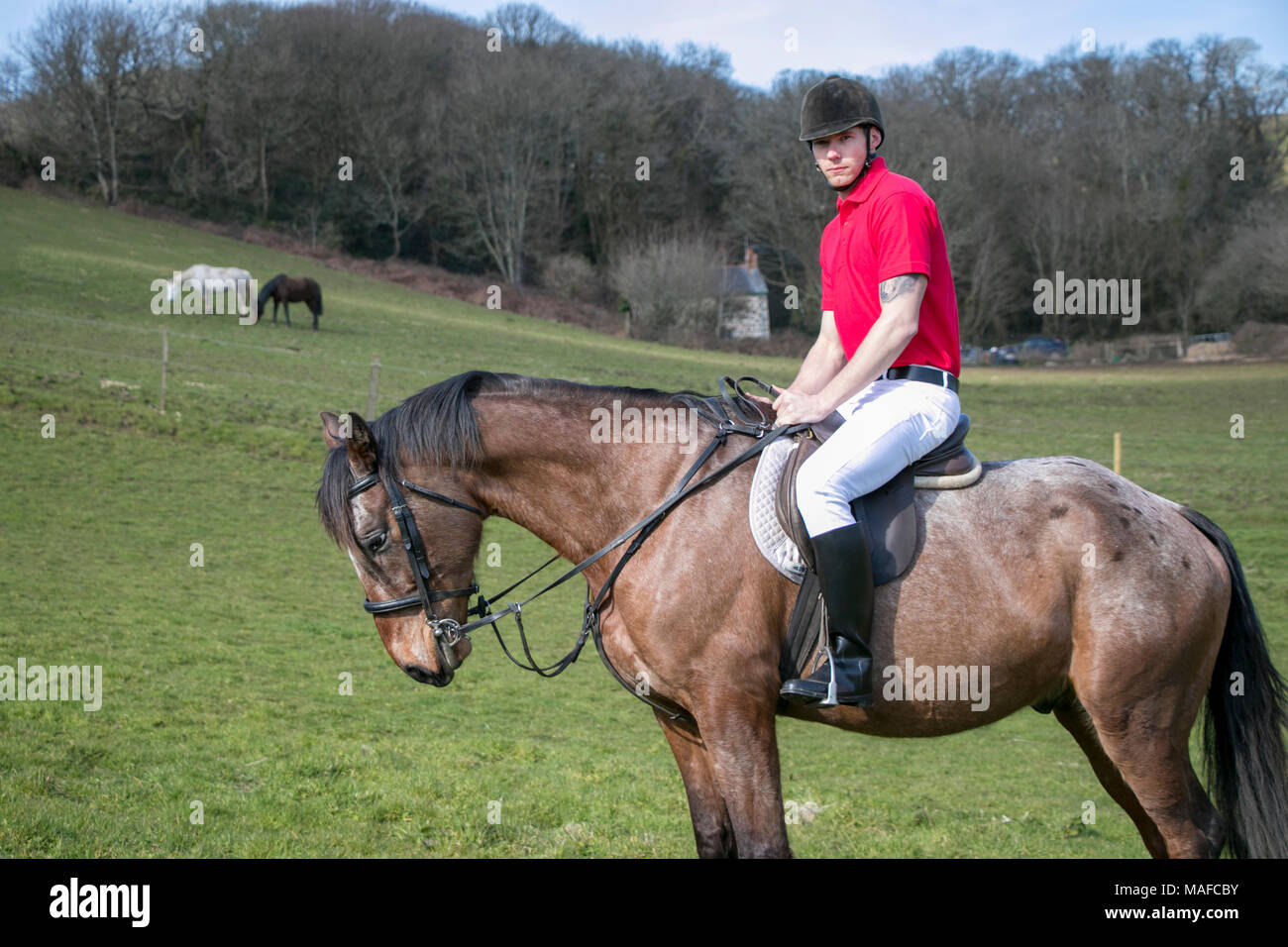 Handsome male horse rider on horseback in green field with horses and stone cottage in
