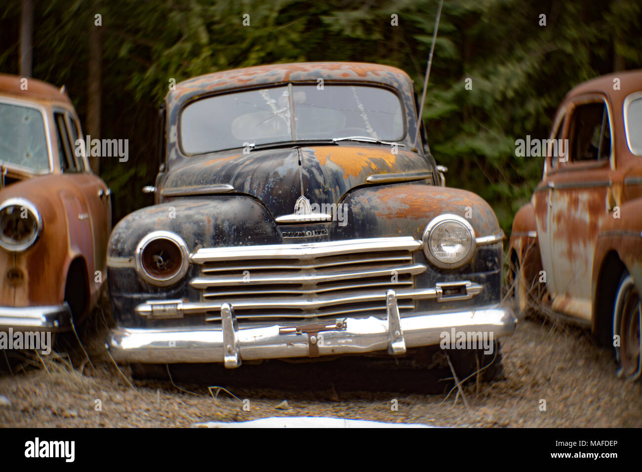 The front of an old, black 1946 Plymouth Deluxe 4-door sedan, in an stone quarry, east of Clark Fork Idaho. Stock Photo