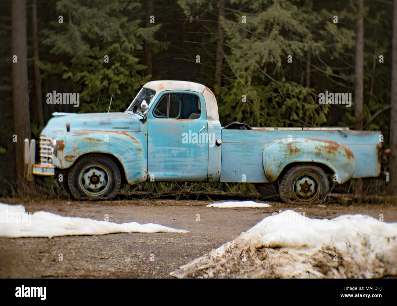 A blue 1949 Studebaker 2R15 pickup truck in an old quarry, east of Clark Fork Idaho. Stock Photo