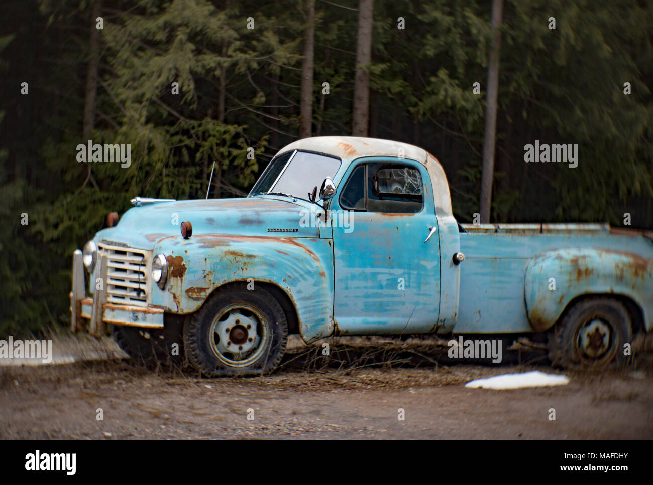A blue 1949 Studebaker 2R15 pickup truck in an old quarry, east of Clark Fork Idaho. Stock Photo