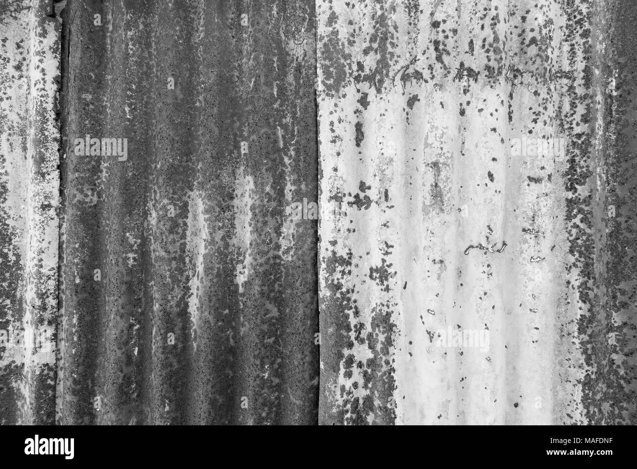 Close-up of a rusty and corrugated iron metal construction site wall texture background in black and white. Stock Photo
