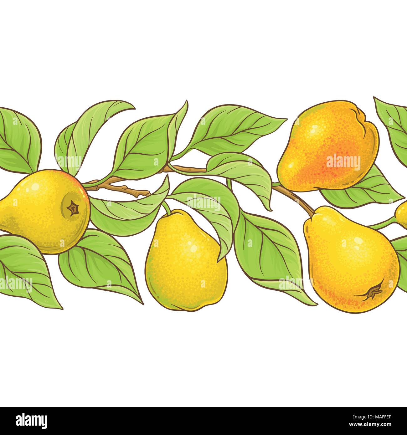 pear branches vector pattern on white background Stock Vector