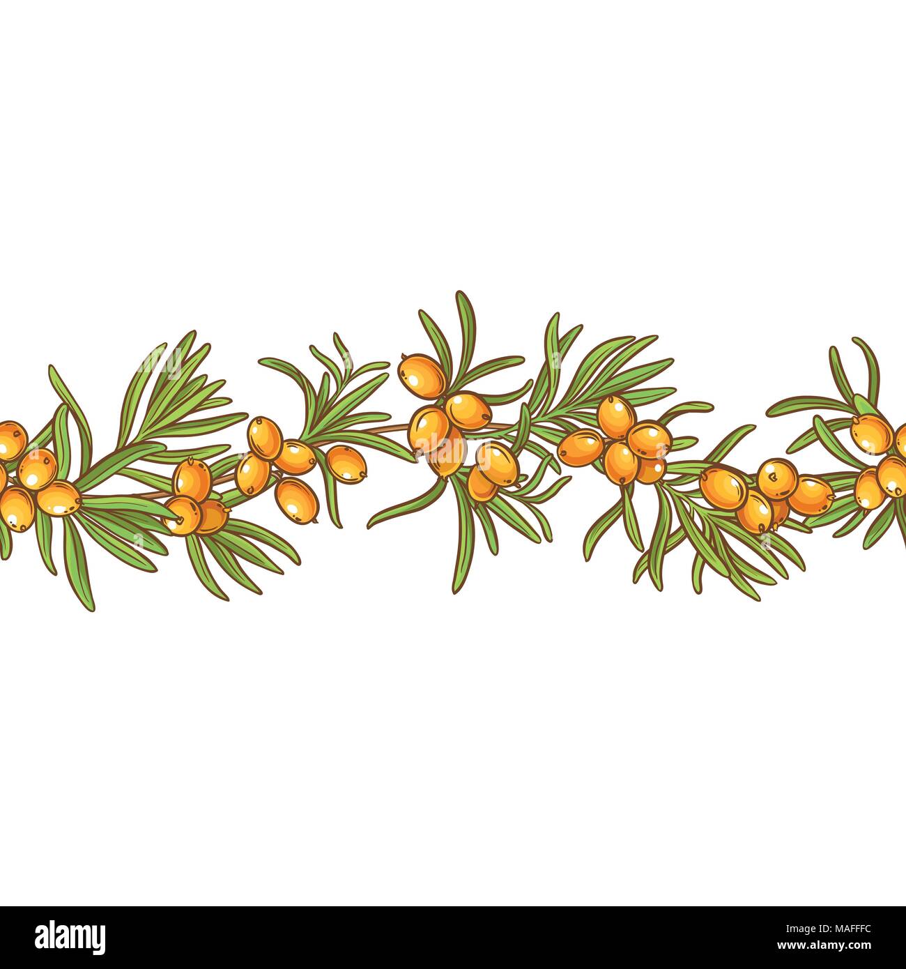 sea buckthorn vector pattern on white background Stock Vector Image ...