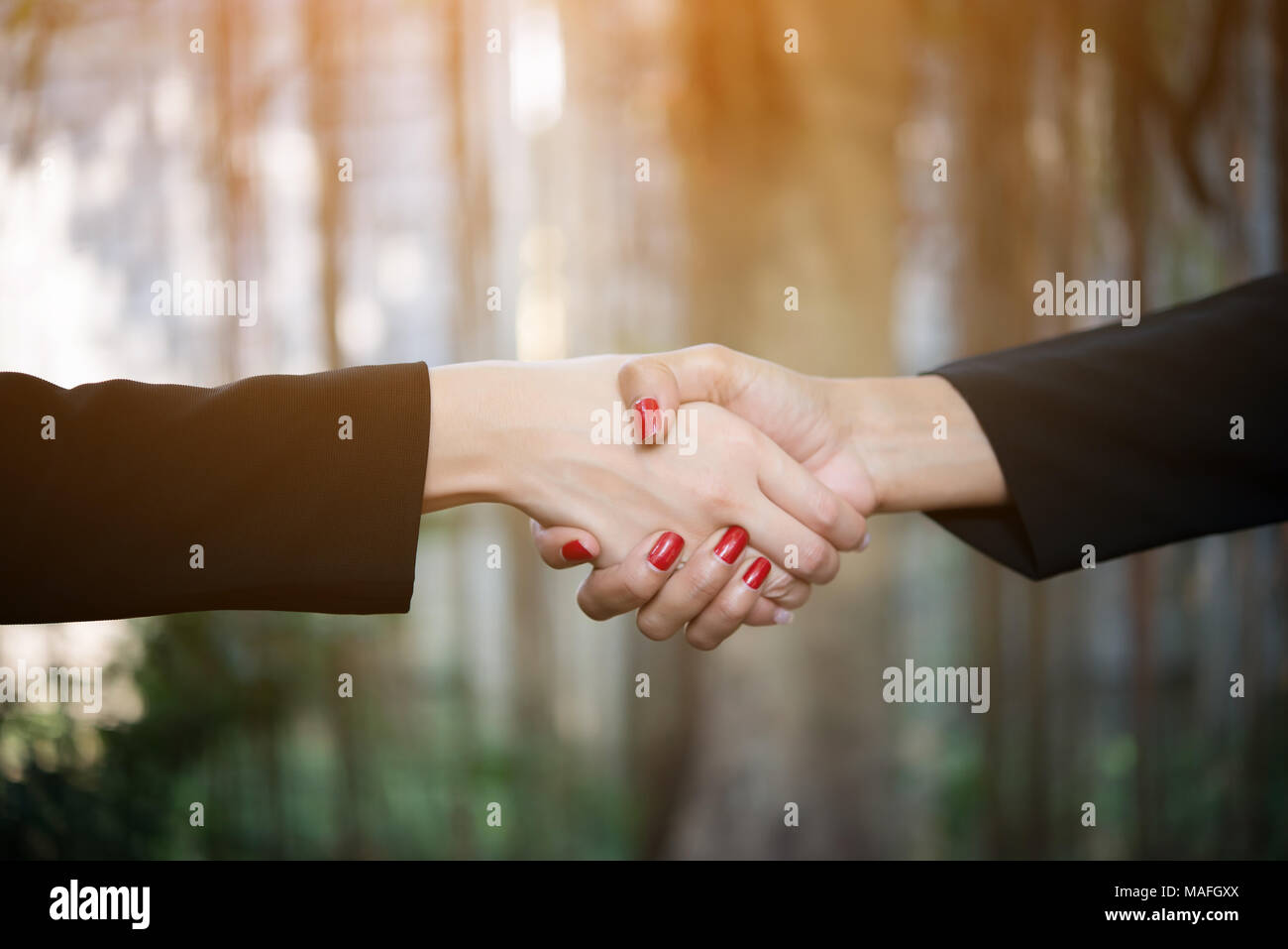Close-up of business people shaking hands for completely business ...