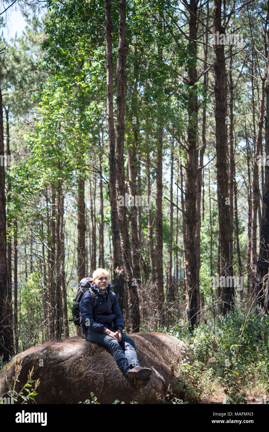 Man on top of mountain sitting on the rock watching a nice nature ...