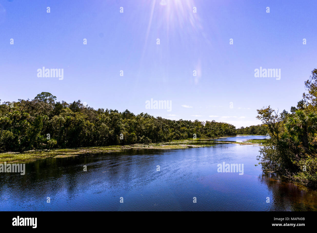 Juniper Springs in Ocala National Forest, Florida, USA Stock Photo Alamy