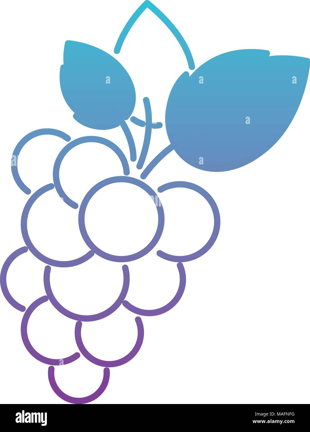 grapes fresh fruit icon Stock Vector Image & Art - Alamy