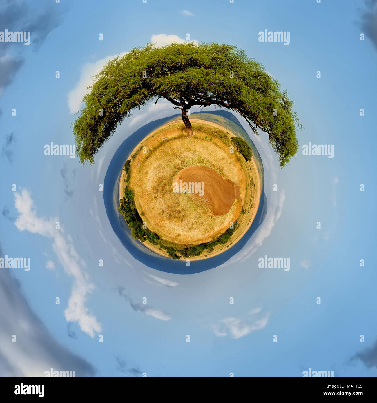 360 degree view of Beautiful landscape with tree in Africa Stock Photo