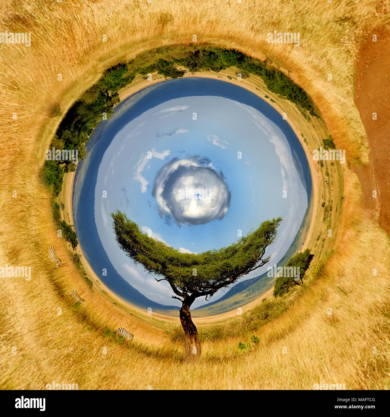 360 degree view of Beautiful landscape with tree in Africa Stock Photo