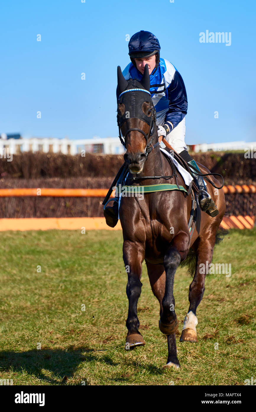 Point To Pass Racing Point to point racing horse racing hi-res stock photography and images ...