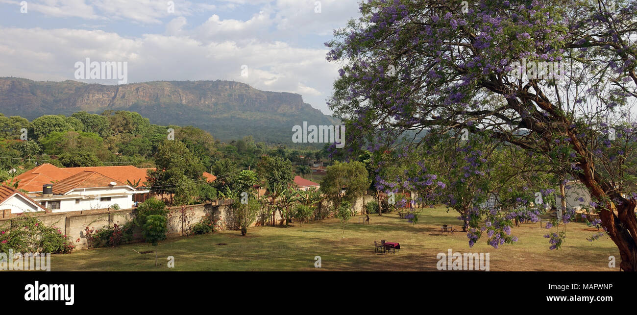 Hotel grounds, Mbale Uganda, East Africa Stock Photo