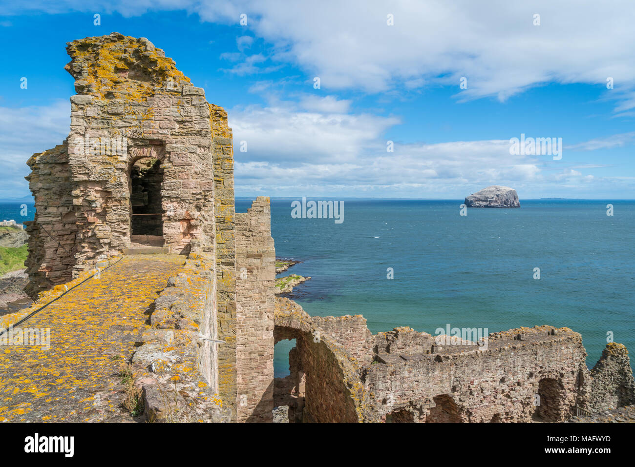 Tantallon Castle, semi-ruined mid-14th-century fortress, located 5 kilometres east of North Berwick, in East Lothian, Scotland. Stock Photo