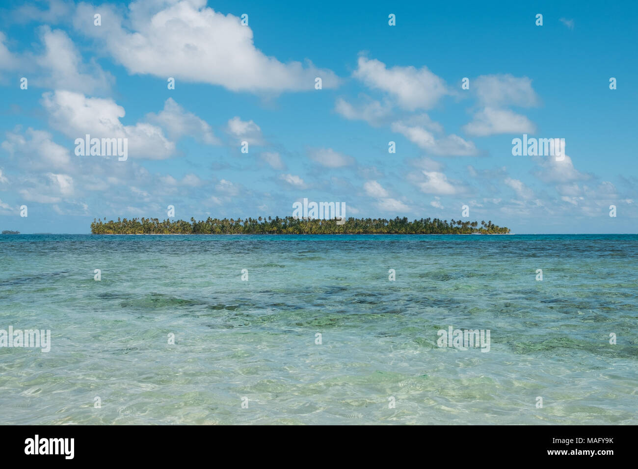 tropical island isolated on ocean - Palm tree island Stock Photo