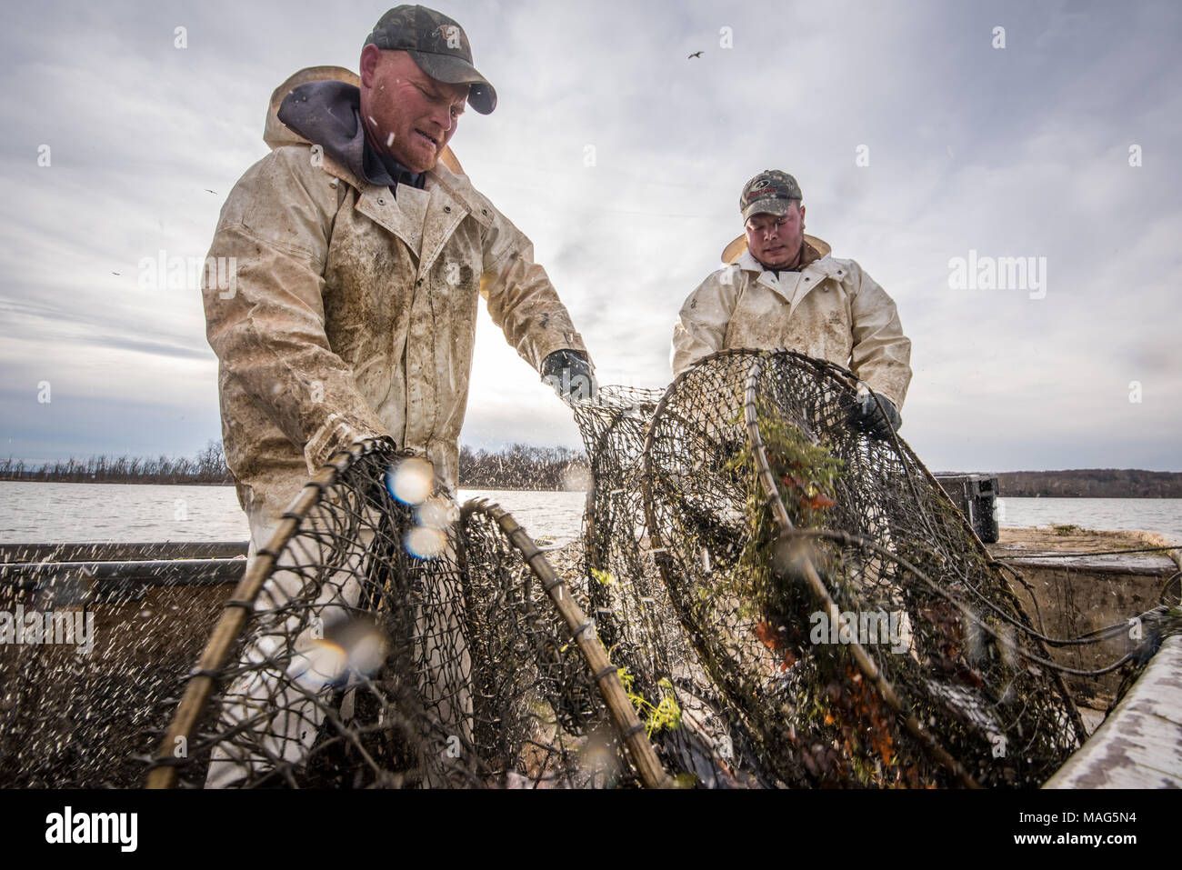 Pulling in net hi-res stock photography and images - Page 3 - Alamy