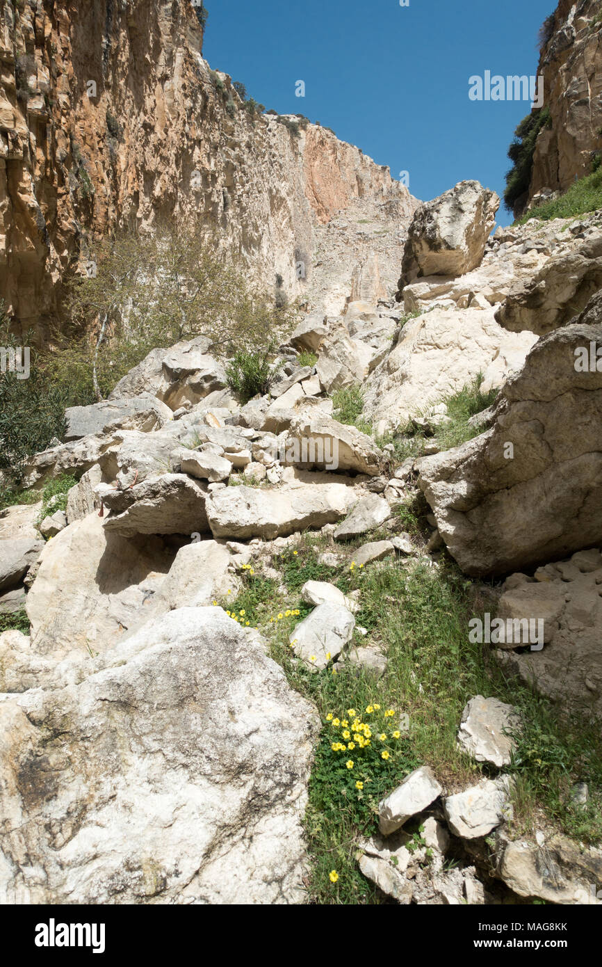 The Avakas Gorge in NW Greek Cyprus is a popular and spectacular hiking ...