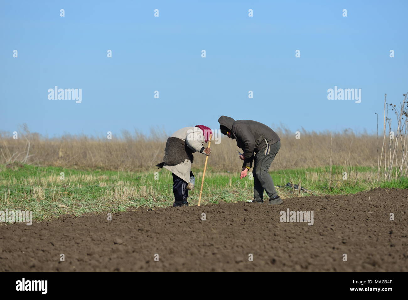 Spring season work at subsistence garden, Ukraine Stock Photo
