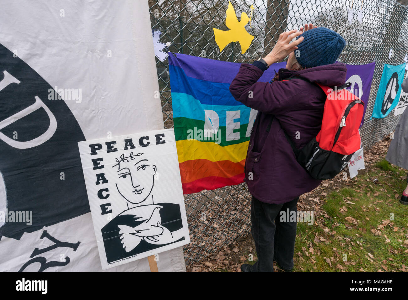 Aldermaston, UK. 1st Apr, 2018. A protester looks at the yellow peace dove she has just tied to the security fence as  CND celebrates the 60th anniversary of the first Aldermaston march which mobilised thousands against the Bomb and shaped radical protest for generations. Their protest outside the Atomic Weapons Establishment included a giant, iconic peace symbol, speeches, including by some of those on the original march, singing and drumming and celebrated the UN treaty banning nuclear weapons. Credit: Peter Marshall/Alamy Live News Stock Photo
