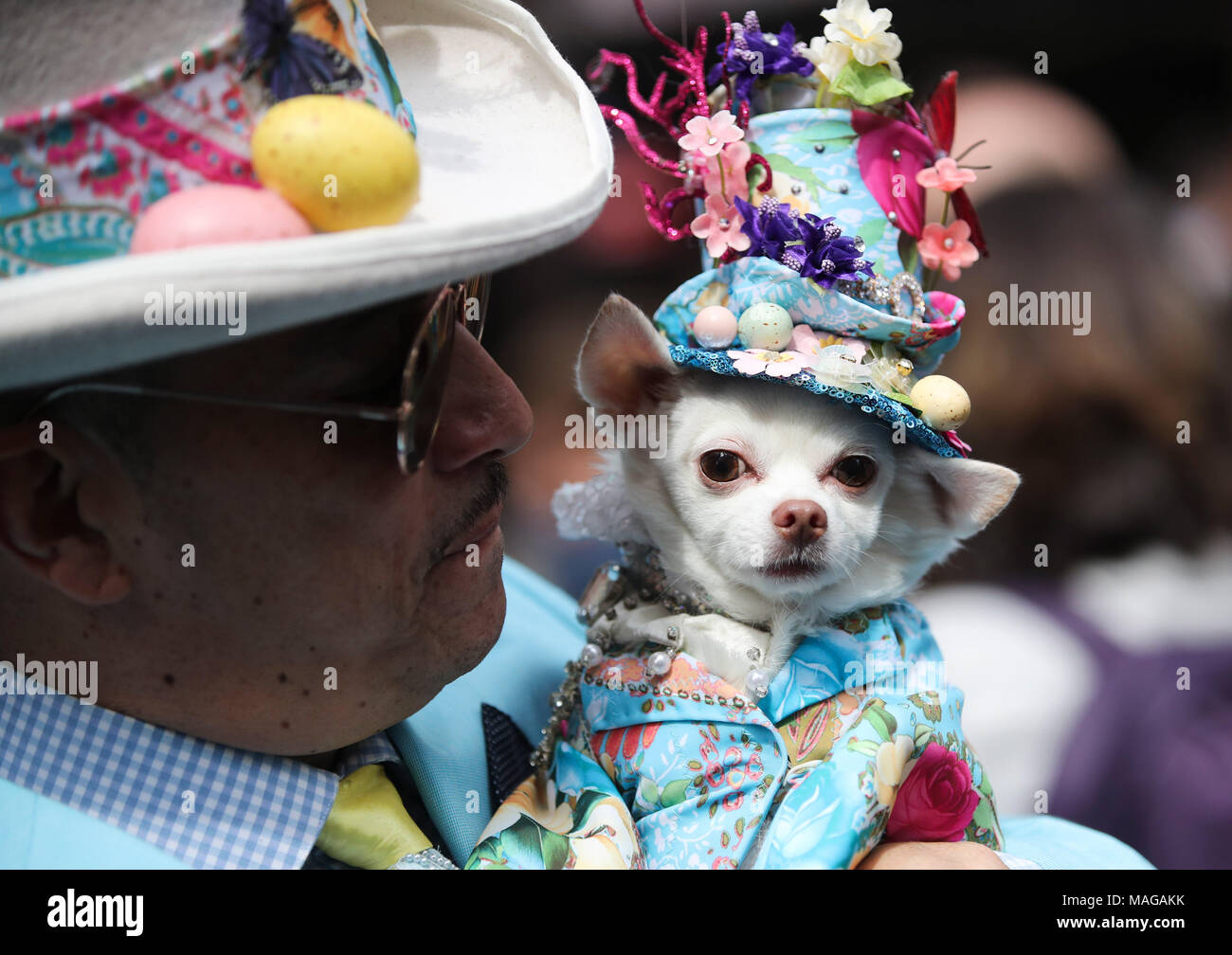 World Series: New York Mets puppy parade held in Manhattan