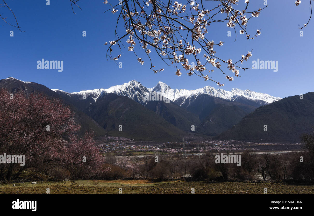 The tangula mountains hi-res stock photography and images - Alamy