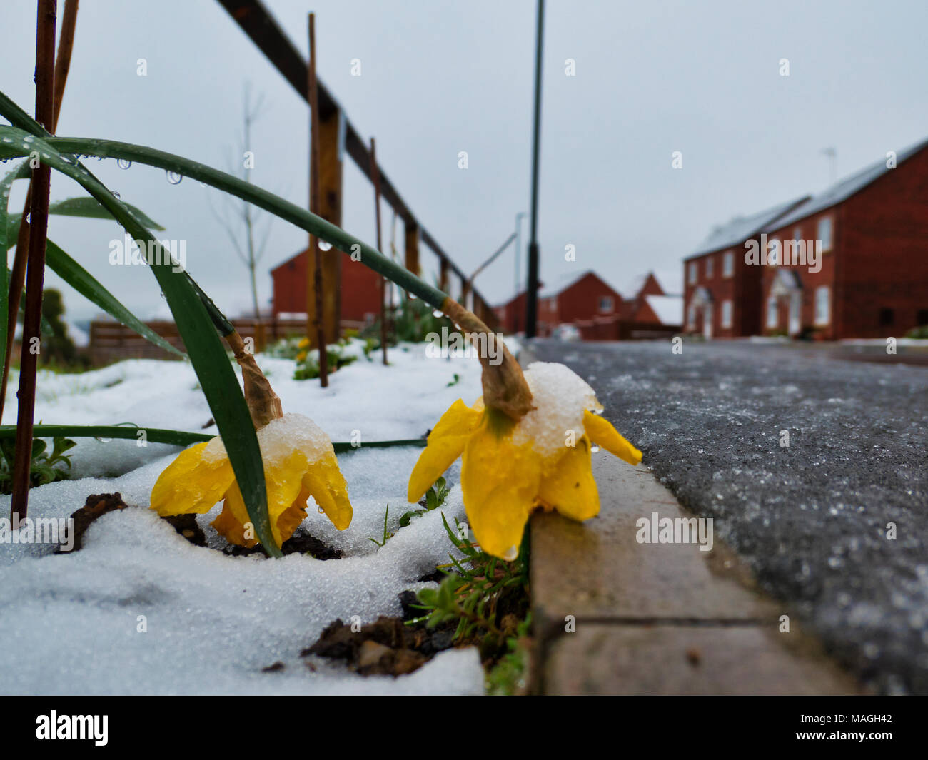 Ashbourne, Derbyshire. 2nd Apr, 2018. UK Weather: 1' of morning snow quickly melts causing flooding on Easter Bank Holiday Monday in Ashbourne, Derbyshire Credit: Doug Blane/Alamy Live News Stock Photo