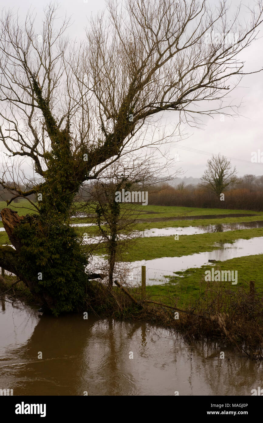 River Nadder, Wiltshire. 2nd April 2018. UK Weather: Flood Warning Areas in Tisbury, Chicksgrove, Sutton Mandeville, Dinton, Barford St Martin, Wilton, Quidhampton, Salisbury in close proximity to the River Nadder. Credit Paul Chambers Credit: © Paul Chambers / Alamy Stock Photo/Alamy Live News Stock Photo