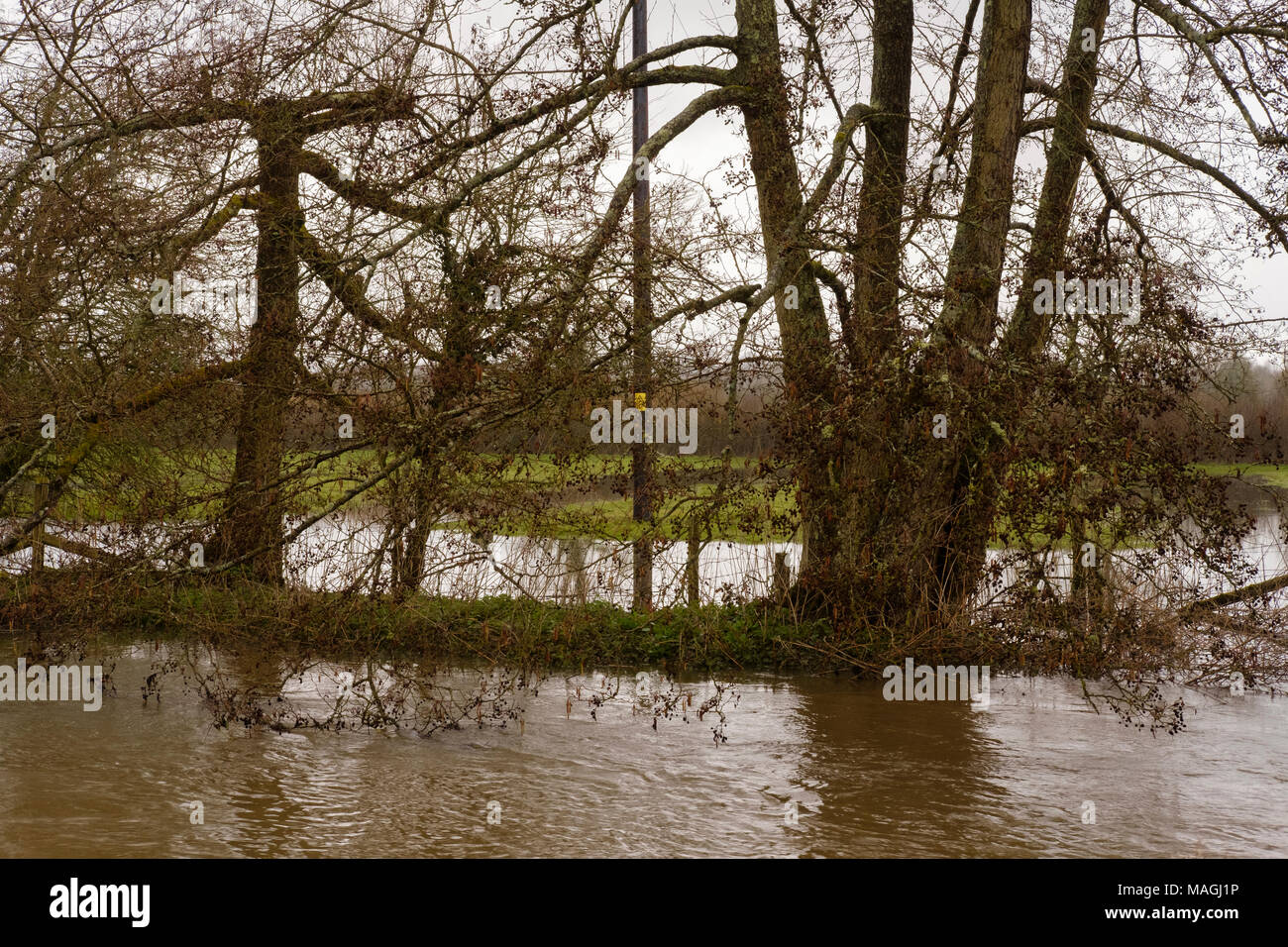 River Nadder, Wiltshire. 2nd April 2018. UK Weather: Flood Warning Areas in Tisbury, Chicksgrove, Sutton Mandeville, Dinton, Barford St Martin, Wilton, Quidhampton, Salisbury in close proximity to the River Nadder. Credit Paul Chambers Credit: © Paul Chambers / Alamy Stock Photo/Alamy Live News Stock Photo