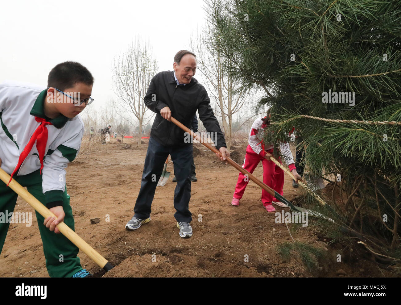 Beijing, China. 2nd Apr, 2018. Chinese Vice President Wang Qishan (2nd L) joins a voluntary tree planting activity in the eastern suburbs of Beijing, capital of China, April 2, 2018. Other Chinese leaders including Xi Jinping, Li Keqiang, Li Zhanshu, Wang Yang, Wang Huning, Zhao Leji and Han Zheng also attended the event. Credit: Ding Lin/Xinhua/Alamy Live News Stock Photo