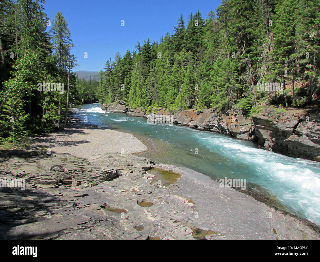 Flathead River at Glacier NP in MT Stock Photo - Alamy