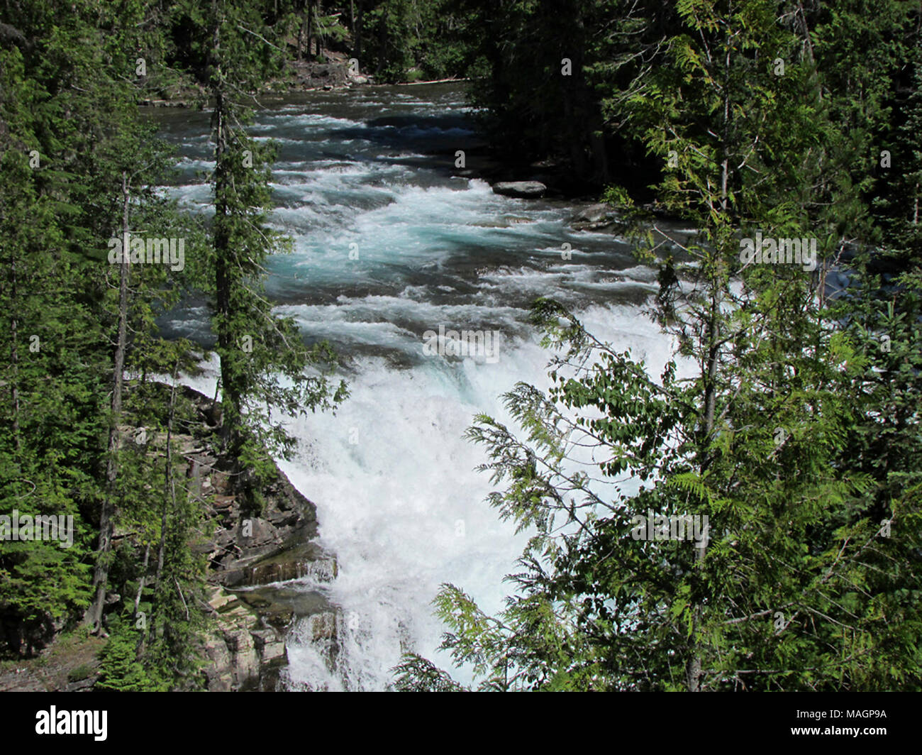 Flathead River at Glacier NP in MT Stock Photo - Alamy