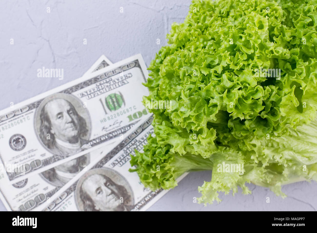Green organic lettuce and paper cash. Fresh lettuce salad and dollars