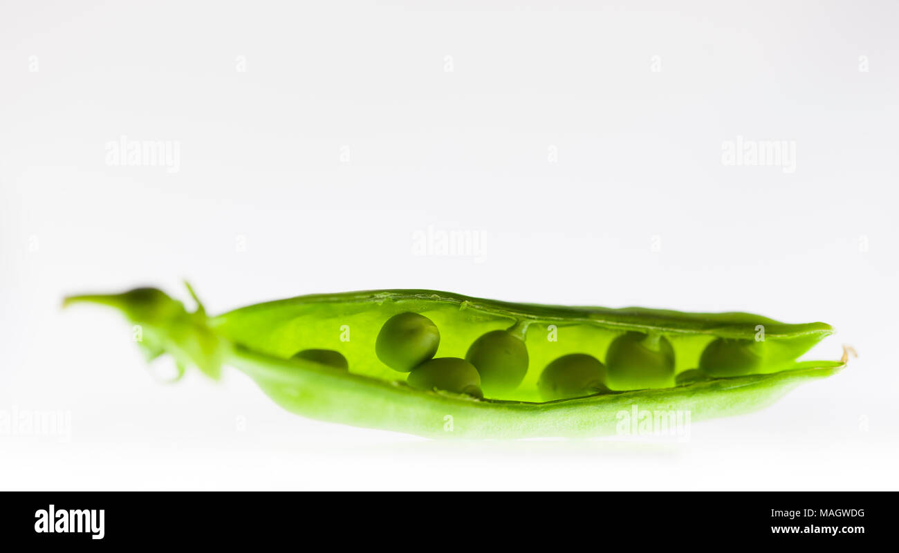 Peas in a Pod on a Backlit White Background Stock Photo Alamy