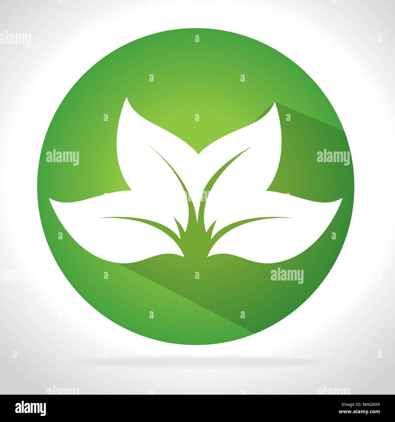 nature and leaves design, vector illustration graphic design Stock ...