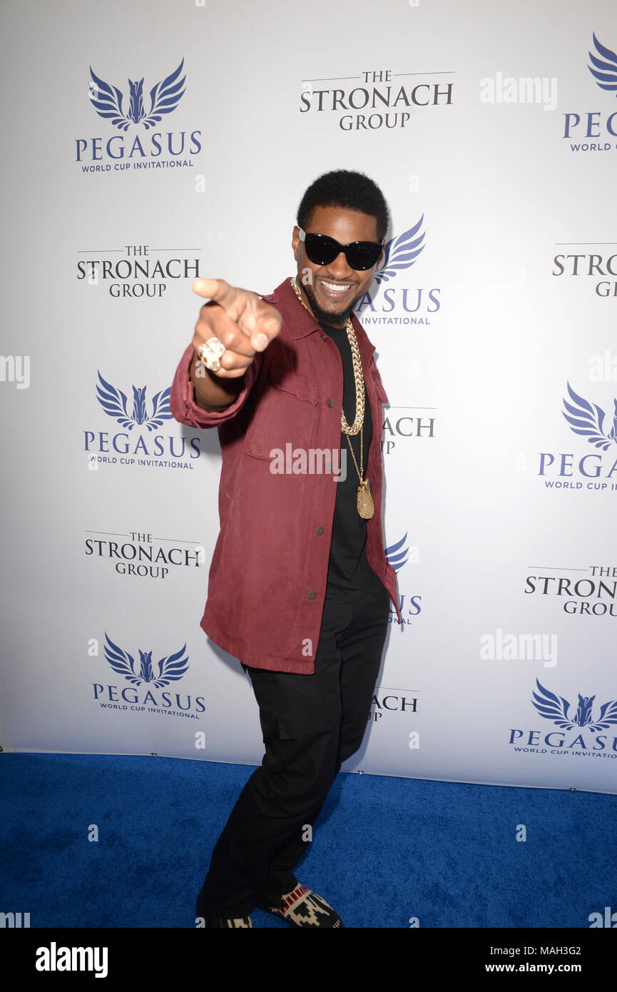 HALLANDALE, FL - JANUARY 28:  Usher Raymond attends The Inaugural $12 Million Pegasus World Cup Invitational, The World's Richest Thoroughbred Horse Race At Gulfstream Park at Gulfstream Park on January 28, 2017 in Hallandale, Florida   People:  Usher Raymond Stock Photo