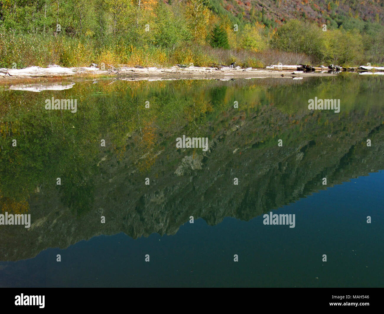 Coldwater Lake Loop Trail in WA Stock Photo - Alamy