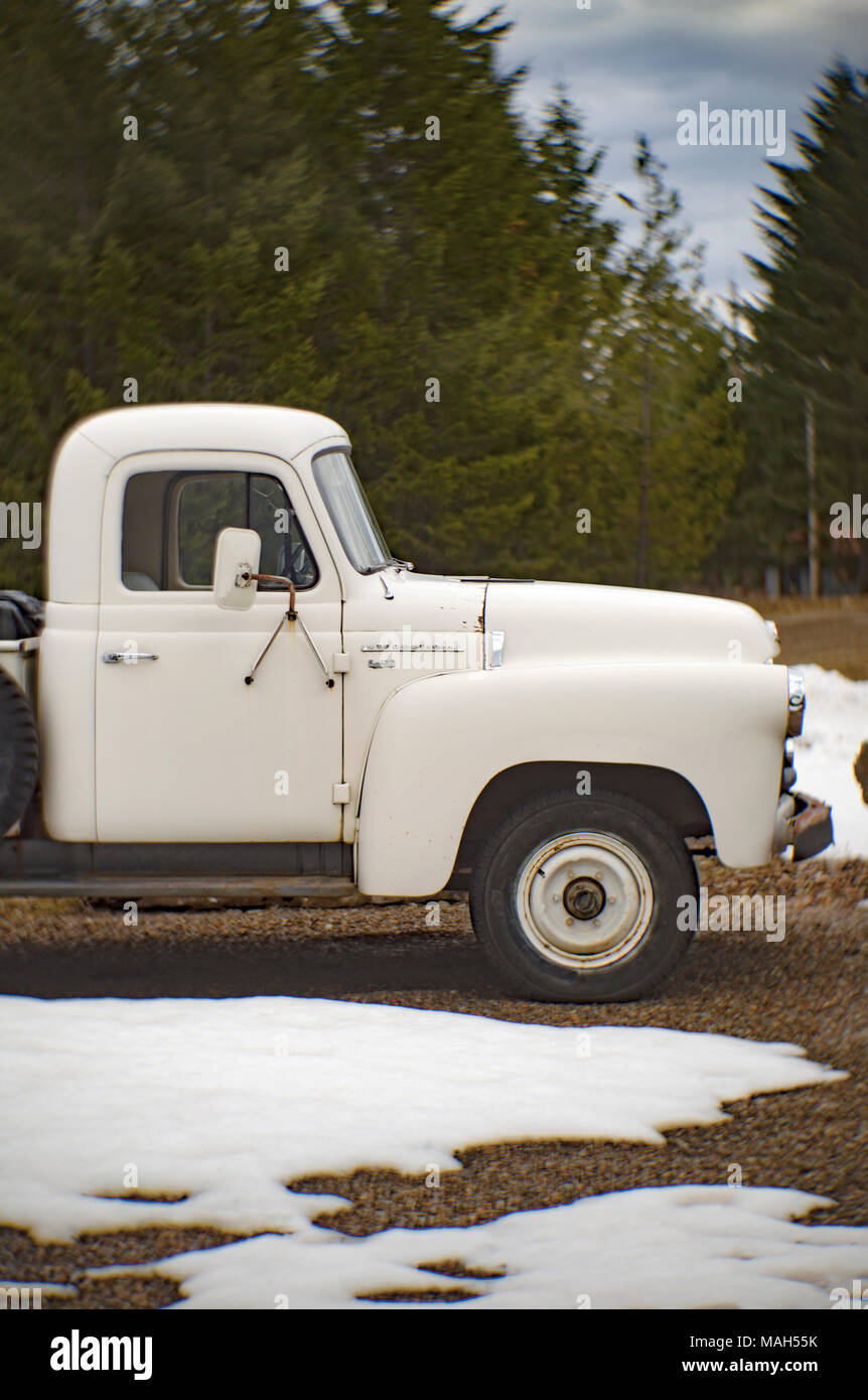 The cab of a 1956 International S-120 pickup truck, near Noxon, Montana. Stock Photo