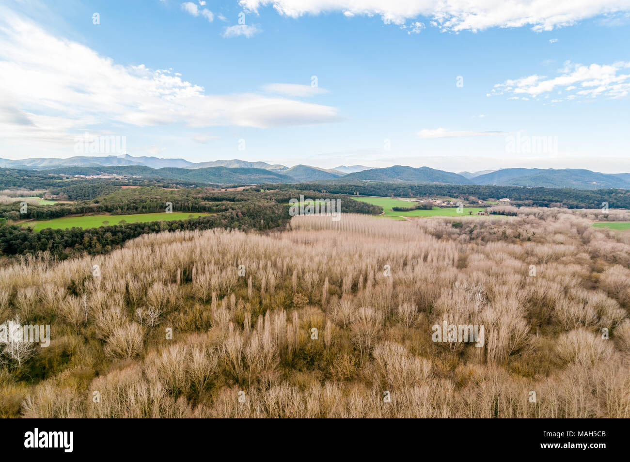 aerial view of Riparian forest next to the Fluvia river, Garrotxa, Catalonia, Spain Stock Photo