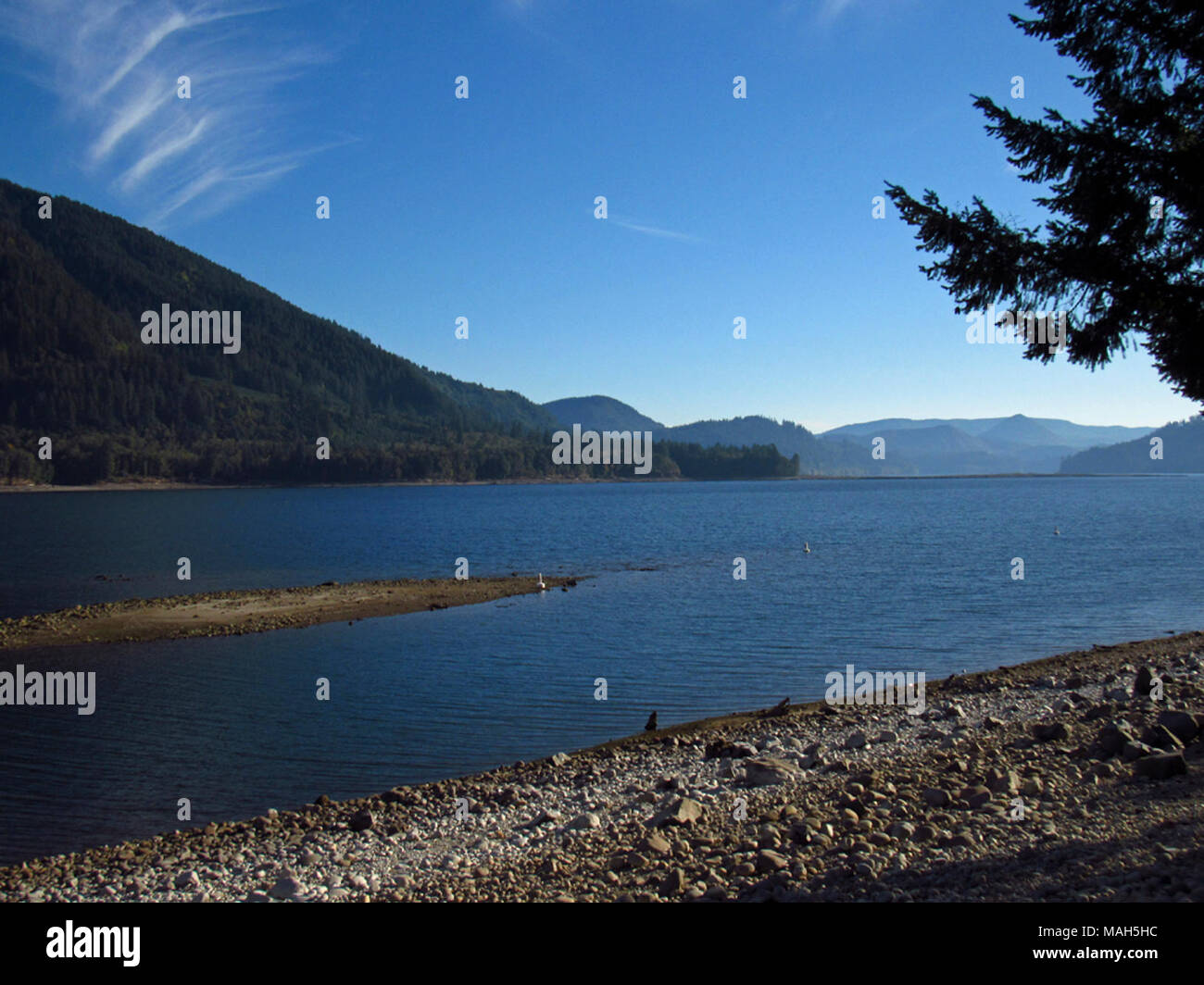 Yale Lake in WA Stock Photo Alamy