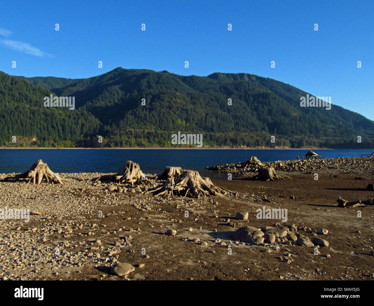 Yale Lake in WA Stock Photo Alamy